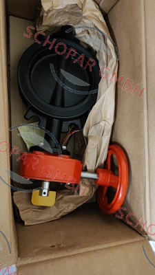 Tyco Fire-59300W060WS price