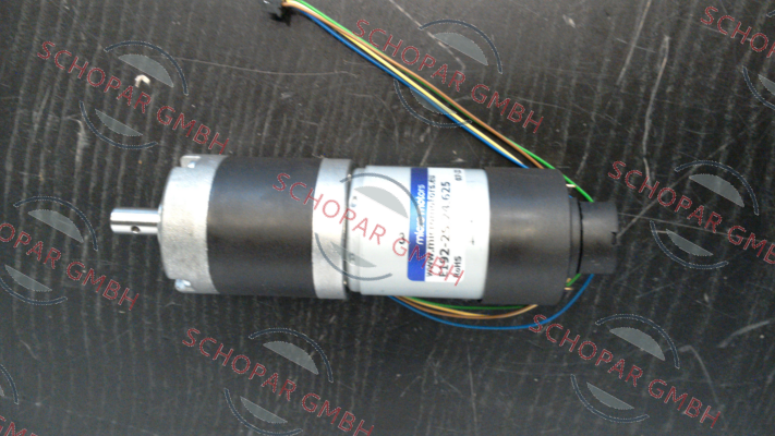 Micro Motors-MM.E192-2S.24.625 price