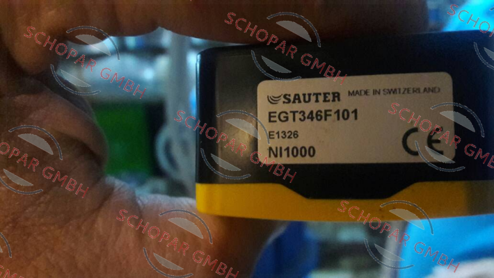 Sauter-EGT346F101 price