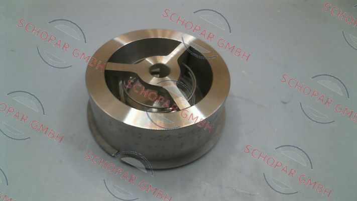 Ritag-SR 30.40 DN50 PN JIS10-20K price