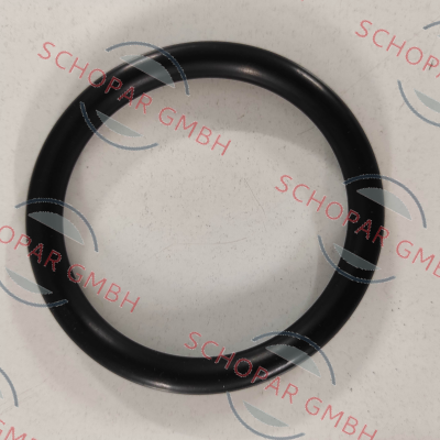 Peters-Bey-6596300 price
