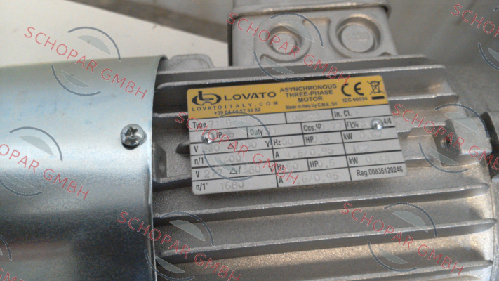 LovatoItaly-71 B3 price