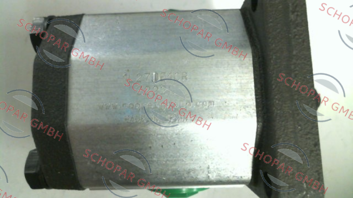 Roquet pump-P2BRN2018L10 price