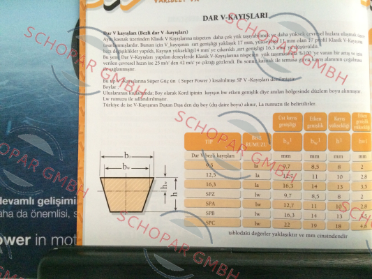 DAXTON-12.5 x 1100 price