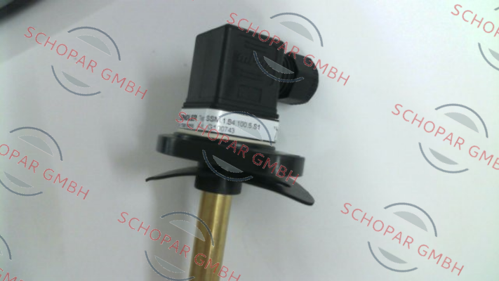 Engler-SSM.1.B4.100.5.S1 (G100743) price