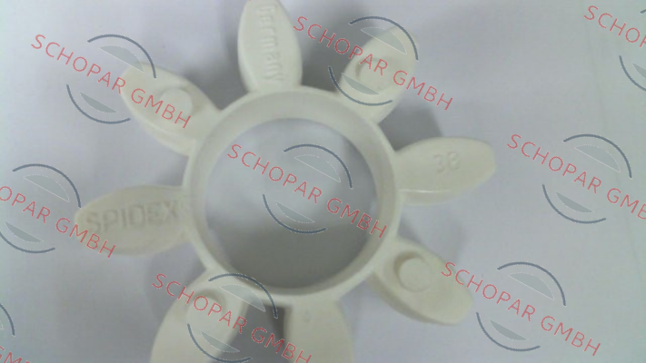 Raja-SP380388 price