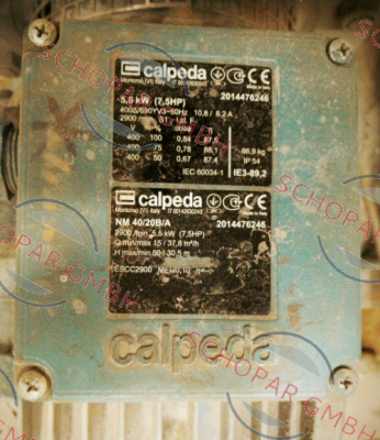 Calpeda-16006080000  price