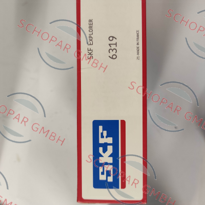 Skf-6319 price