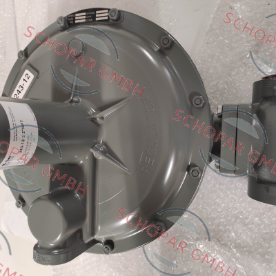 Sensus-243-12-2 2”NPT price