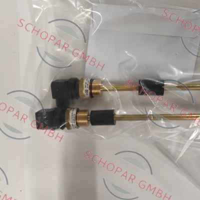 Goldammer-NR 3/4" - L1/220/S-L2/100/S-3+PE-24V price