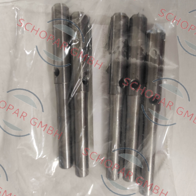 Pasquin-P0145 price